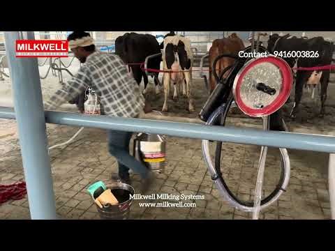 Double bucket milking machine Milkwell @milkwell