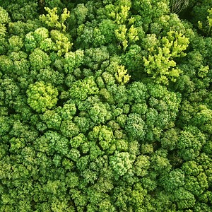 Amazing Facts about the Amazon Rainforest! | Hashem Al-Ghaili