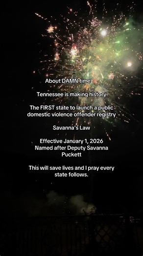 Tennessee Launches First Domestic Violence Offender Registry