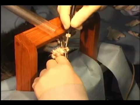 3 Ways to Declaw and their effects