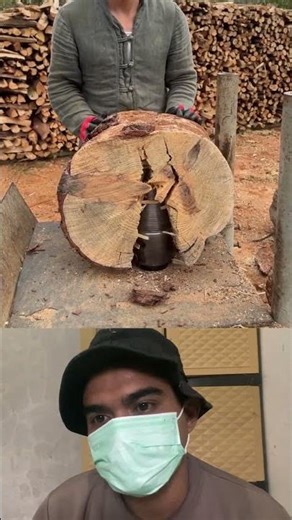 This Screw Can Split a Tree in Seconds!