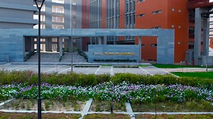 1K views · 40 reactions | Opening new vistas for medical education in...