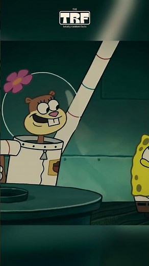 Sandy Cheeks Was Not From Texas #spongebobsquarepants #spongebob #nickelodeon #sandy #mrkrabs