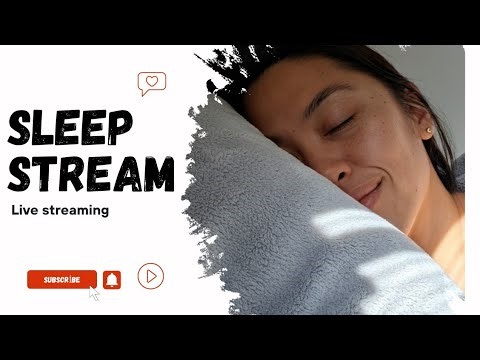 Sleep Streaming ● Live Snoring with Me ● Nov 22,2025