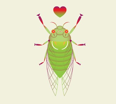 Cicada Tracker | WNYC