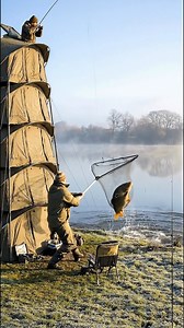 Multi-storey carp bivvy, folks… What could possibly go wrong? 🎣 #carpfishing #fishing | Totally Carp Baits