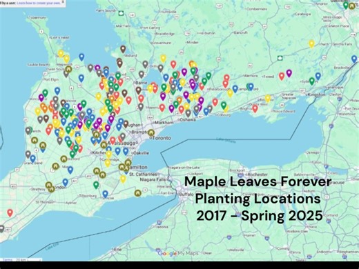 Here's a map showing our accumulated planting locations year over year, over the past 8 1/2 years! Wonderful to see so many native maple tree plantings in Southern Ontario.  | Maple Leaves Forever | Facebook