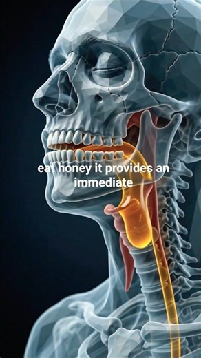 ​Inside the Stomach: The Secret Health Benefits of Honey Revealed |