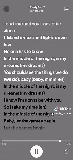 Taylor Swift's Ready For It Lyrics - Full Version