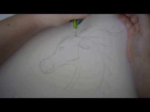 How to Draw a LeafWing Headshot from Wings of Fire