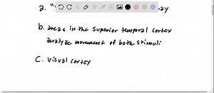 SOLVED:Describe how auditory localization is organized in the cortex. What is the evidence that A1 is important for localization? That areas in addition to A1 are involved in localization? What is the evidence for what and where pathways in the auditory system?