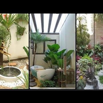 Small WINTER Garden: 16 Inspiring IDEAS for having one at Home