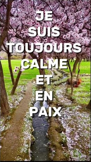 🇫🇷 LAISSE CES MOTS T’APPORTER LA PAIX 🌿 Affirmations pour retrouver le calme