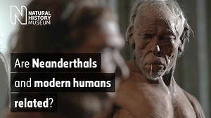 The Neanderthal in us | Natural History Museum