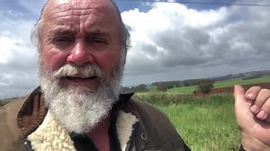 6.8K views · 449 reactions | You gotta love Tassie!! | Roothy | Facebook