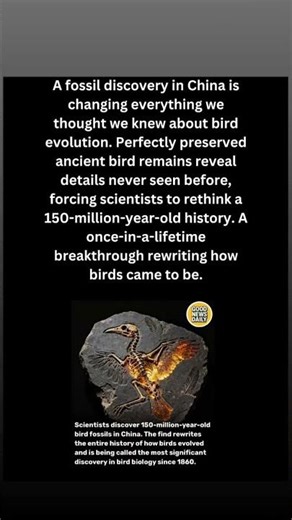 🦴 This Fossil Just Rewrote Bird Evolution History
