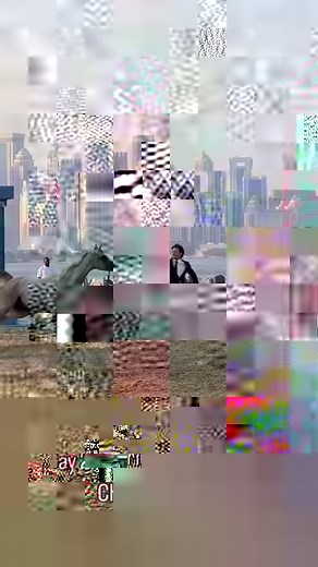 Day Two of the World Arabian Horse Championships showcased all male contenders and what a beautiful presentation it was! | Arabian Horse World