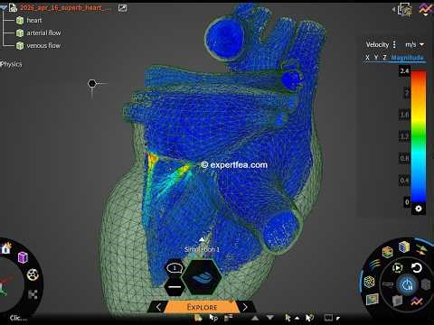 Full Hemodynamics of the Arterial and Venous Blood Through Heart with Valves - ANSYS Discovery CFD