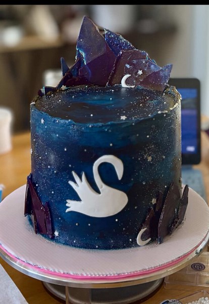 Inspired by Mazzy Star’s Among My Swan album 🌌🦢 ~4 layer chocolate sponge filled with a rich chocolate ganache style buttercream Real talk: this cake had me SWEATING lol. When a client gives you full creative freedom for a BIRTHDAY, it’s the ultimate compliment, but also a little scary! 🫣 There’s always that middle stage in decorating where you just have to blindly trust the process and hope the vision comes to life. Beyond grateful for clients who trust my hands and my heart to bring their i