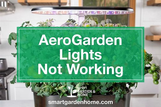 AeroGarden Lights Not Working: Troubleshoot and Repair Guide - Smart Garden and Home