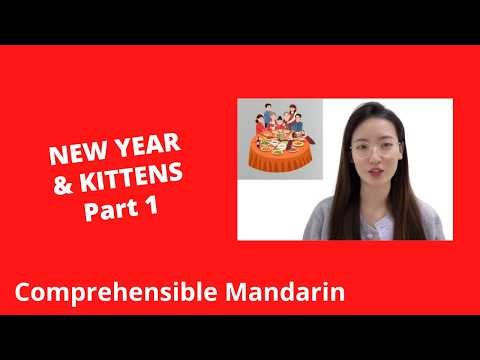 New Year Preparations & Bathing Kittens (Part 1) - Chinese Comprehensible Input