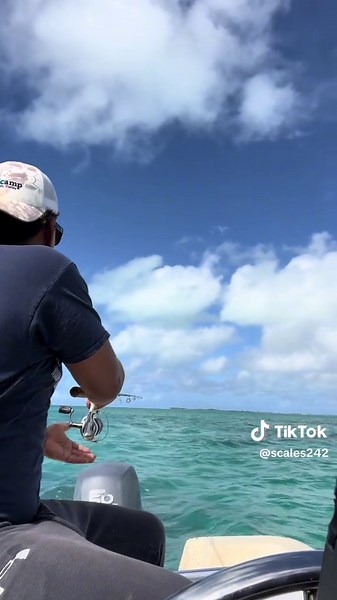 Guess what i caught 🎣 #fish #fishing #bahamas #242 #bahamiantiktok🇧🇸 #snapper #trolling #travel #jacks #longisland #spearfishing #bahamasfishing