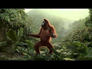 funny chimpanzee dancing after drinking orange juice