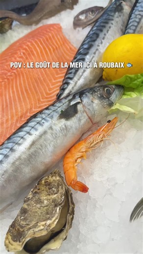🌊 Le goût de la mer, ici à Roubaix. Poisson frais, cuisson minute, produits d’exception et ambiance immersive. Chez Calypso, on ne fait pas semblant — on vous sert la mer, pour de vrai. 🐟⚓️ 📍38 rue de l’Epeule, Roubaix 🪑 130 places assises 🌐 Réservez dès maintenant sur calypso-restaurant.fr #FYP #Roubaix #TikTokFood #Poisson #PourToi