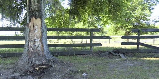73-year-old Reddick man mowing grass hit and killed by pickup truck