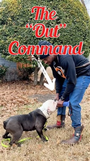 How to teach “out” command
