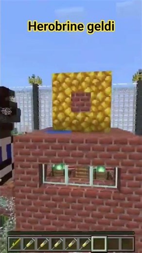 Herobrine ve Entity 303 AYNI ANDA GELDİ! İnanamayacaksınız 😱 #minecraft #herobrine