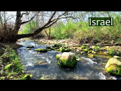 🔴 Relaxing Mountain River in Galilee | Healing Nature Sounds for Sleep & Meditation
