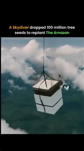 ThinkSource™ on Instagram: "A skydiver once turned a freefall into a large-scale environmental experiment. Instead of jumping for sport, Brazilian skydiver Fabrício Amaral released millions of tree seeds over deforested areas of the Amazon rainforest. The idea was simple but bold: use altitude, wind patterns, and gravity to disperse seeds across land that is difficult to reach on foot or by vehicle. As the seeds spread during descent, they covered wide areas in a single drop. While not every see