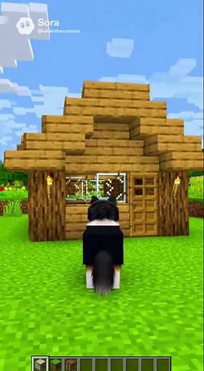 Cosmo is in Minecraft now?