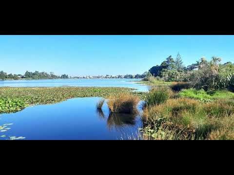 jon17 5002a nowing mu19 01 2026