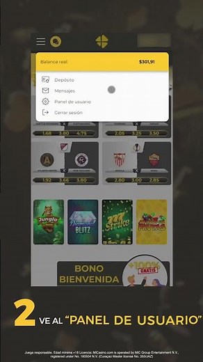 ¿Cómo ingresar a tu panel de usuario? || Casino Online
