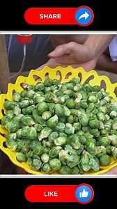 Amazing Yield in Growing Brussels Sprouts ‍at home 🫶🫶 | Small Vegetable Garden