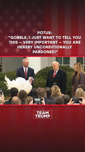 342K views · 56K reactions | Who would want to harm this beautiful bird?!藍旅 | Team Trump | Facebook