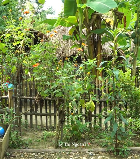 #181 Bamboo gate design for new house - single mother cooks dinner for two children. | Akiyah8