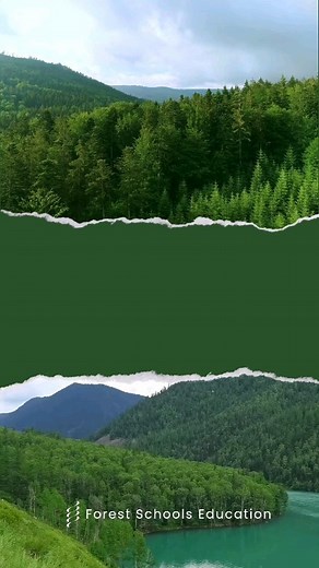 Sustainability has always been crucial for all lives, and even more now than ever. Teaching our children about a sustainable lifestyle is one of many things we can do to ensure they, and next generations to come, will have a beautiful and habitable world to live and thrive. ✨ #forestschool​ #forestschoolseducation​ #earlyyeard #education #sustainability #climatechange #outdoorliving #outdoorlearning #naturaleducation | Forest Schools | Facebook