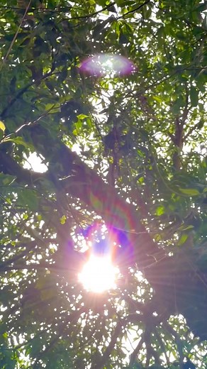 Yes  I love chasing mystery — the art of life 礪 all about unconditional love, freedom, and just letting the soul breathe ❤️️ | Retscel Raagas | Facebook