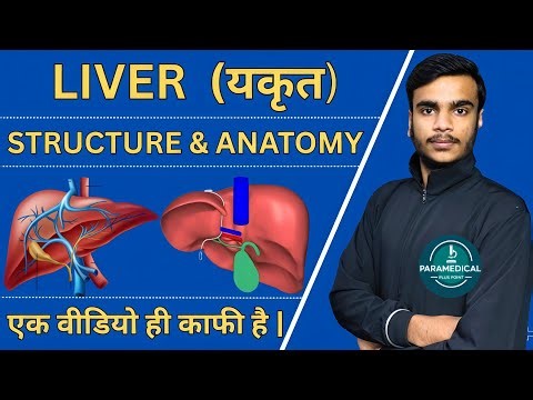 Structure And Anatomy Of liver | Liver In Hindi | Liver Anatomy And Physiology | Liver