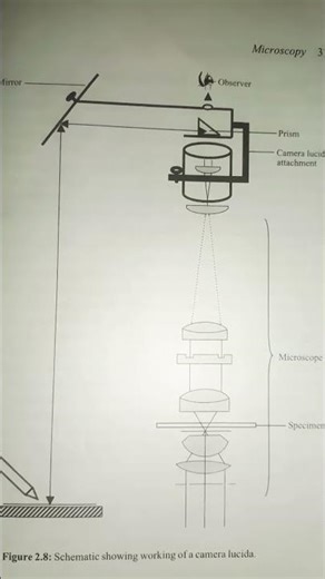schematic showing the working of a. camera lucida#microscopy