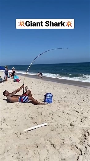 This ain’t jaws… it’s bigger 😳🎣 | Hood Fishing Entertainment