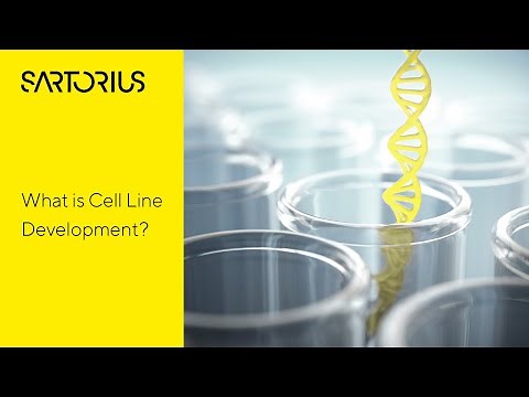 What is Cell Line Development? Key Steps for Biopharmaceutical Production