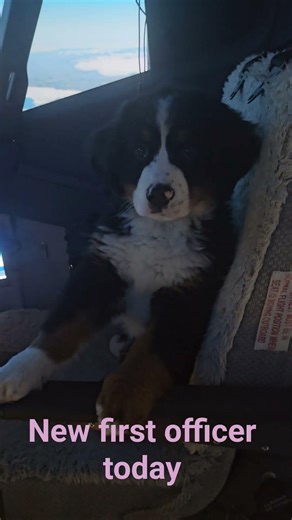 New first officer today