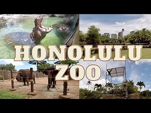 Honolulu Zoo Full Tour 2022 | Eat And Be Eaten HAWAII