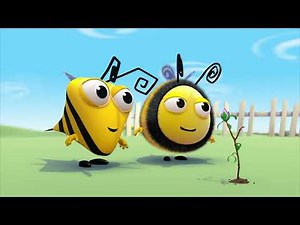 Spring Has Sprung | The Hive Music Videos | The Hive Official