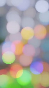 😮😮😮 | Forest Aviary