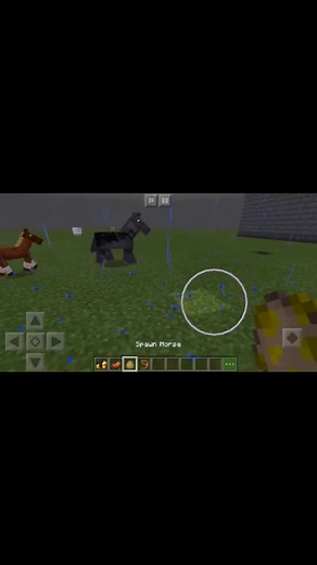 Omg guys. 47 FOLOWERS!!!!! Materials: horse, saddle, horse armour, lead. Ily guys sooo much